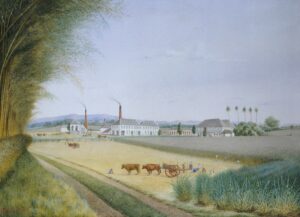 This painting of the Denbigh Plantation in Jamaica helps us understand the connections between slavery and Great Britain's industrial revolution. The plantation was owned by the powerful Pennant family.
